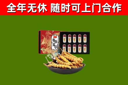 北辰回收冬虫夏草价格